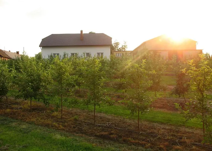 Owocowy Raj Nad Zalewem *